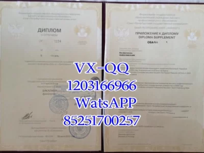 Diploma from St. Petersburg State University