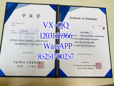 首尔国立大学毕业证