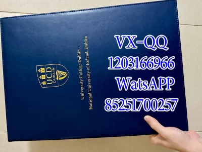 UCD毕业证