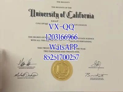 加州大学洛杉矶分校