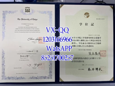 东京大学毕业证