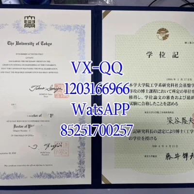 东京大学毕业证修了么证书 | 官方办理与翻译认证指南