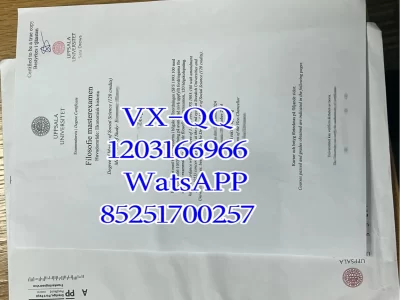 丹麦科技大学毕业证