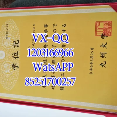 九州大学学位证毕业证全指南:官方样式、补办流程与国内认证 2026