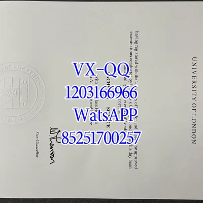 伦敦大学学院学历申请全攻略:2026年条件、流程、文书、面试与学历价值