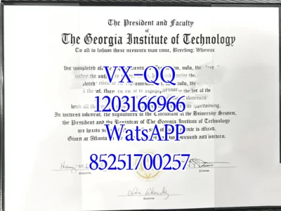 佐治亚理工学院