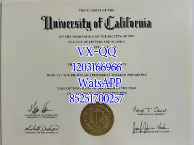 加州大学伯克利分校毕业证