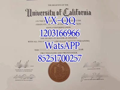 加州尔湾分校毕业证