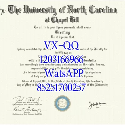 北卡教堂山(UNC Chapel Hill)优势与缺点全解析:2026年择校必读