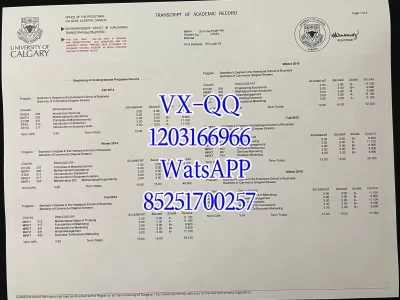 卡尔加里大学成绩单