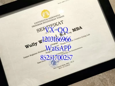 印尼大学毕业证
