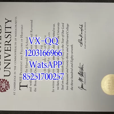 哈佛大学学位认证(回国就业国际认证):2026年全流程权威指南