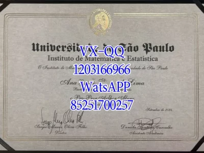 圣保罗大学毕业证