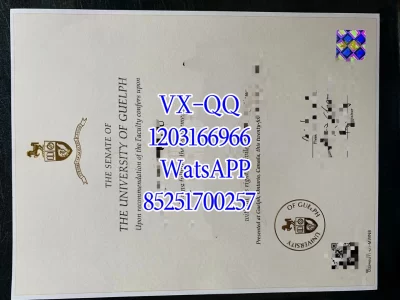 圭尔夫大学毕业证