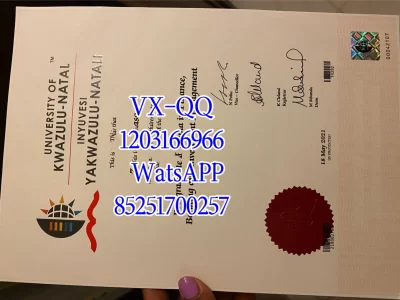 夸祖鲁 - 纳塔尔大学毕业证