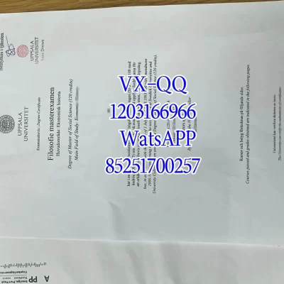 格拉茨大学学历证书认证指南:从申领到回国使用的完整手册(2026最新版)