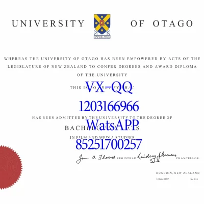 奥塔哥大学留学全解析｜申请条件、优势学科与生活就业指南