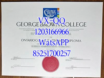 布朗大学毕业证认可度高吗？国际学生留学申请全解析