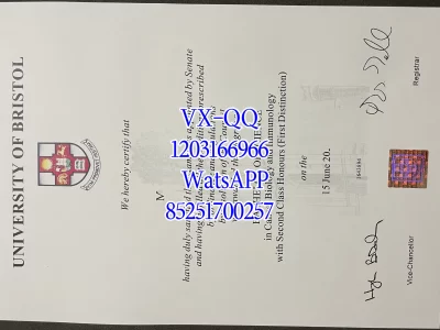 布里斯托大学毕业证