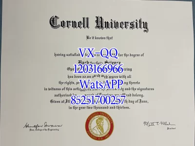 康奈尔大学毕业证