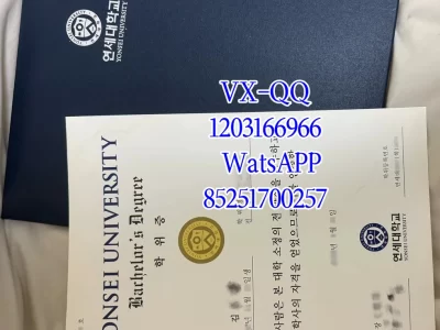 延世大学毕业证