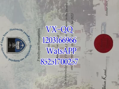 开普敦大学毕业证