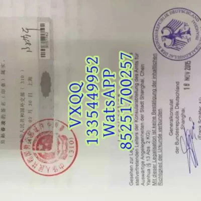 德国双认证全攻略：官方办理流程、费用与常见问题解答