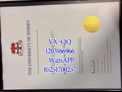 悉尼大学毕业证