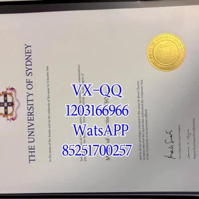 2026 悉尼大学热门专业有哪些