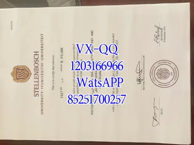 斯泰伦博斯大学