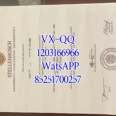 斯泰伦博斯大学毕业证|毕业要求、认证流程与含金量详解