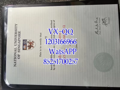 新加坡国立大学毕业证