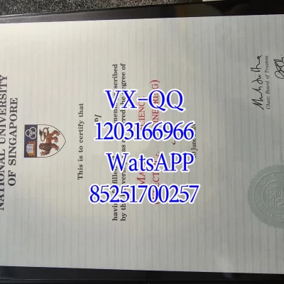 新加坡国立大学毕业证学位证文凭-防伪验证-学历认证-国内就业认可-国际通行校验
