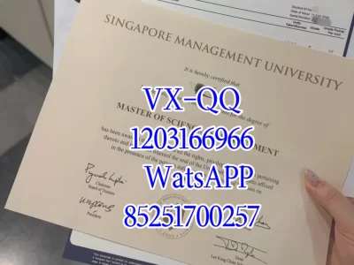 新加坡理工大学毕业证