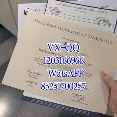 新加坡理工大学毕业证：内地学生申请条件、认可度与就业、认证价值全指南