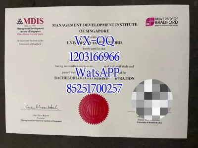 新加坡管理大学毕业证