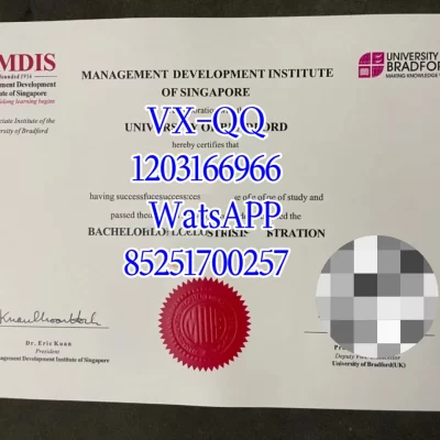 新加坡管理大学毕业证全解析：防伪验证 – 学历认证 – 雇主认可指南