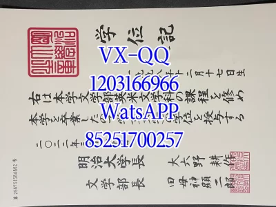明治大学毕业证
