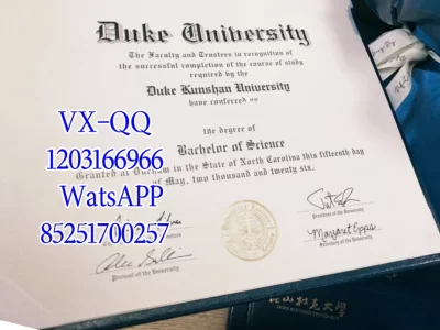 杜克大学毕业证