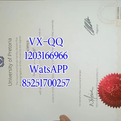 比勒陀利亚大学毕业证|官方申请 + 中留服认证 + 补办 + 真伪验证全攻略