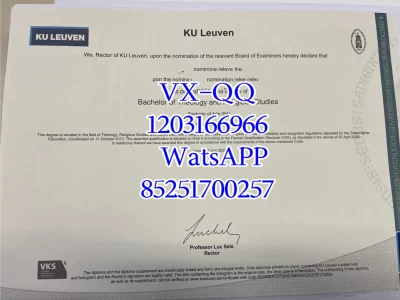 法语鲁汶大学毕业证