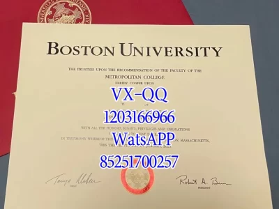 波士顿大学毕业证