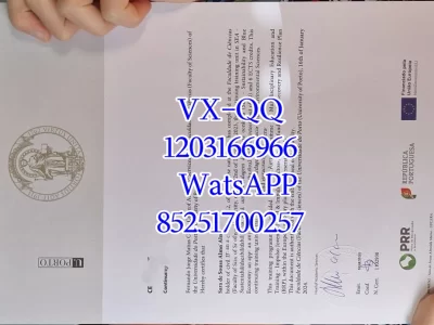 波尔图大学毕业证