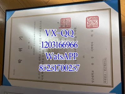 浦项科技大学