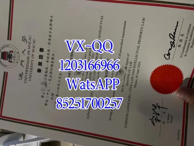 澳门大学毕业证