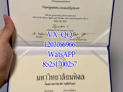 玛希隆大学文凭