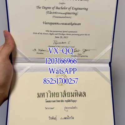 玛希隆大学国际学生留学全解析