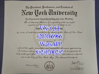 纽约大学毕业证