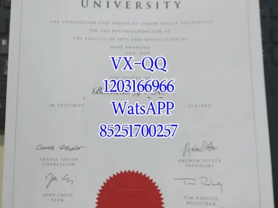 美国雪城大学毕业证