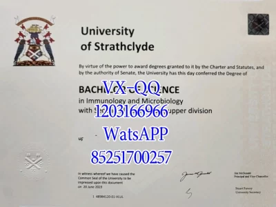 莱斯大学毕业证